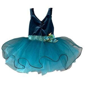 Girl’s Small blue Ballet Tutu Dress Dance Fairy Princess dress ~ Dress Up